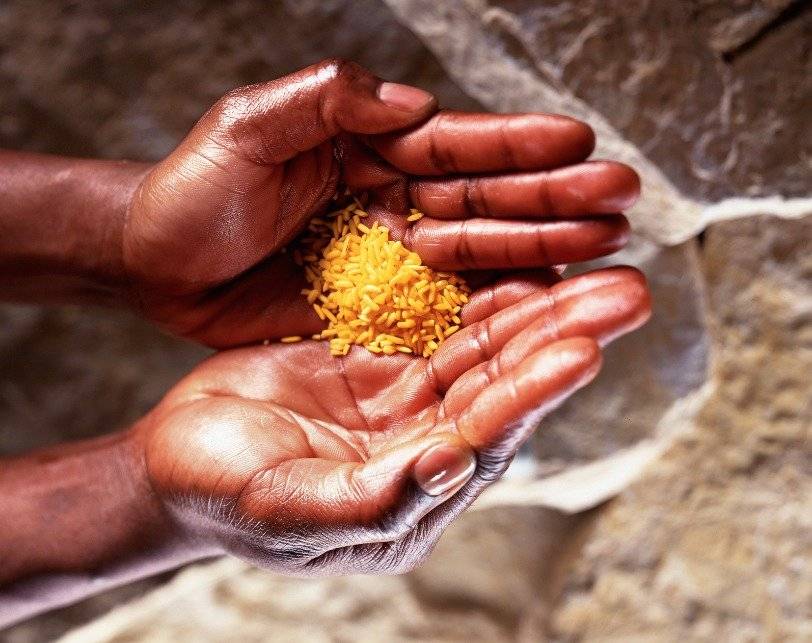 Cultivos y calentamiento global