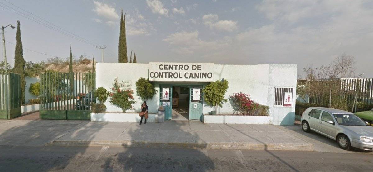 centro control canino