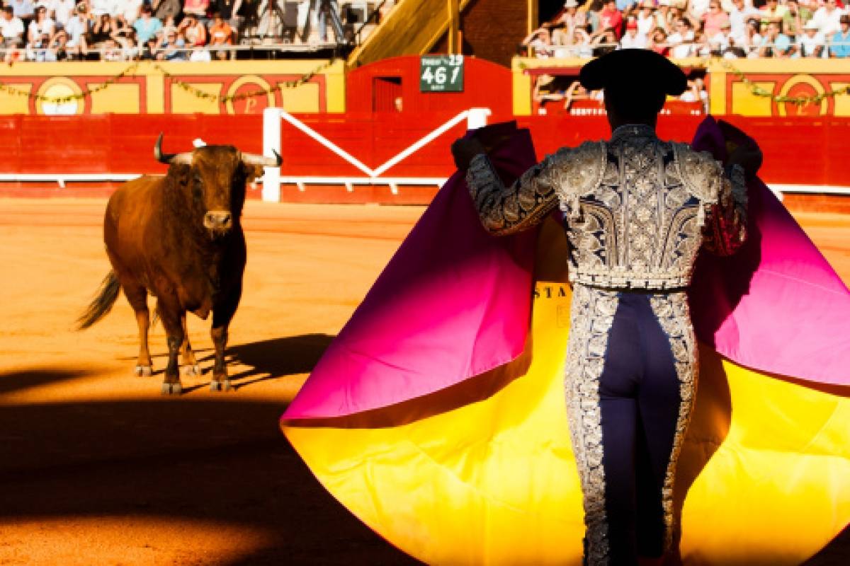 Quito: este viernes se sabrá si se suprimen las corridas de toros ...