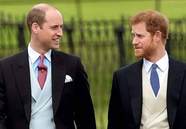 guillermo y harry