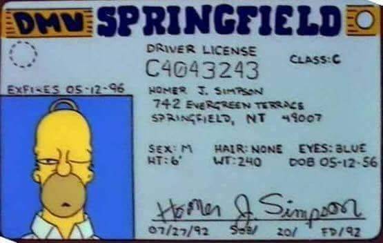 Licencia de Homero
