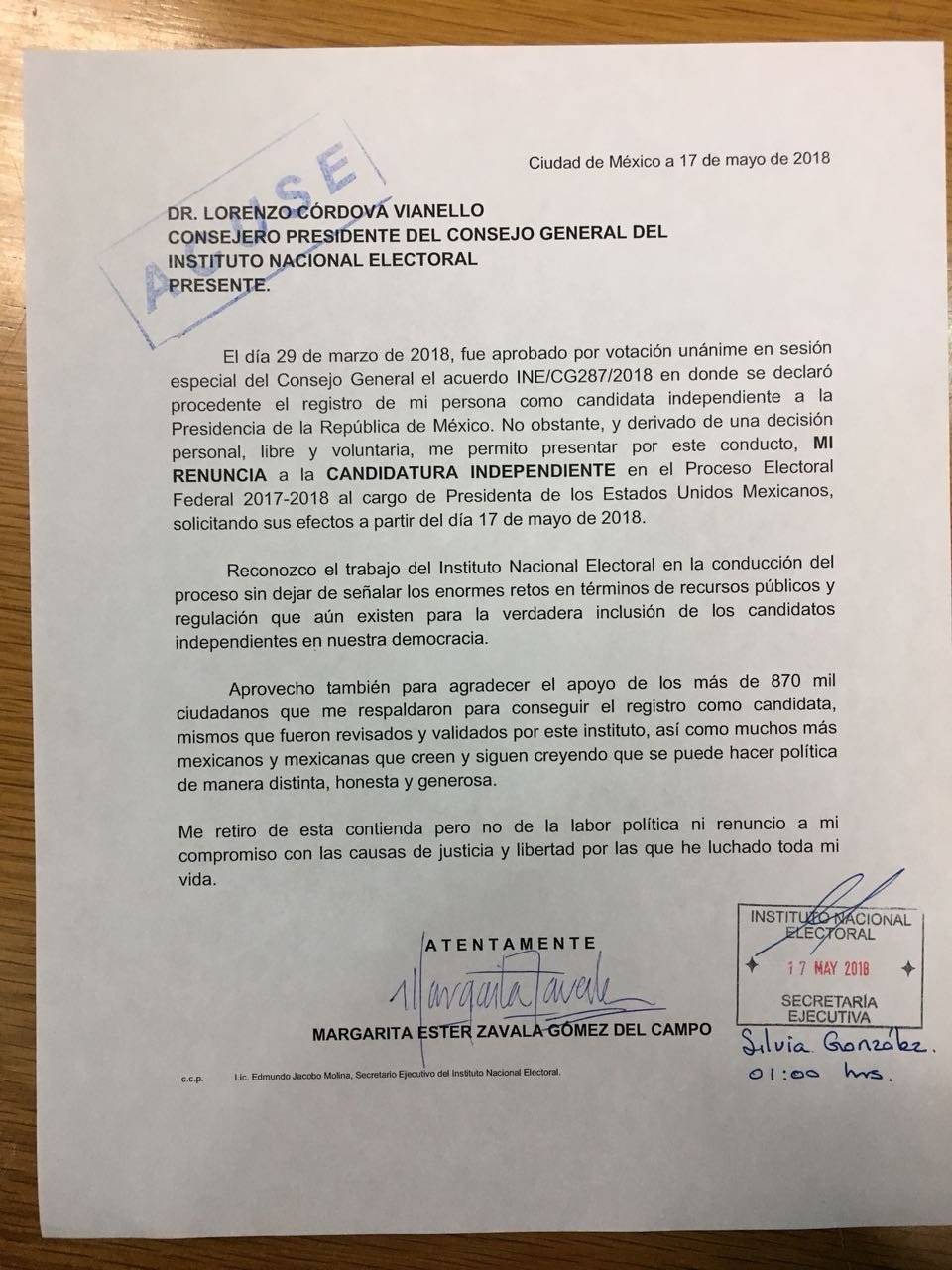 Documento al INE.