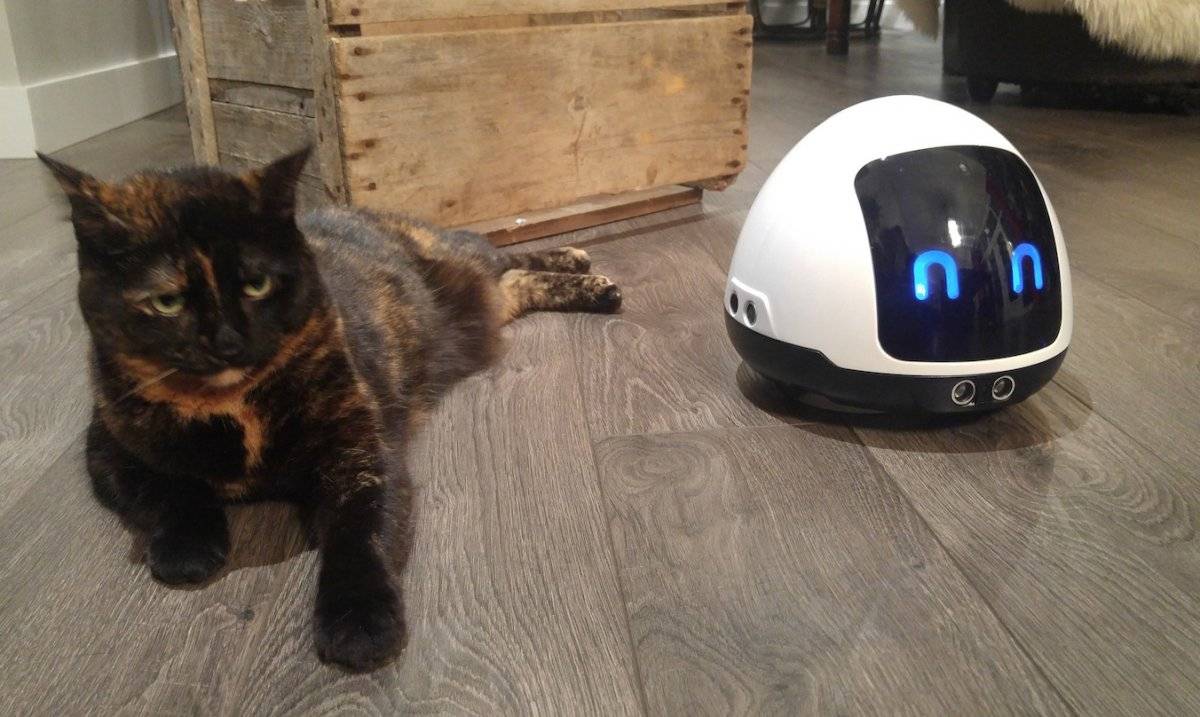 MIA