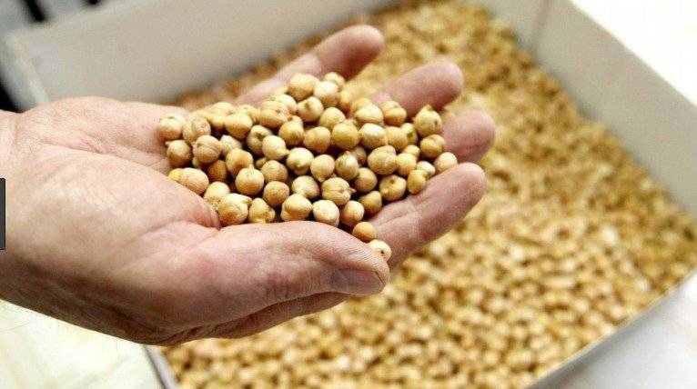 garbanzos