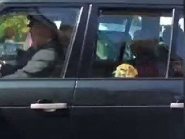 Meghan Markle Isabel II Perro