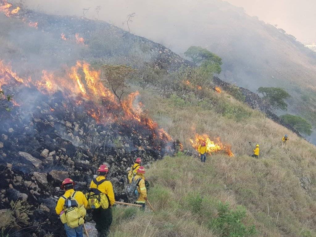 Presentan denuncia por devastador incendio en La Primavera