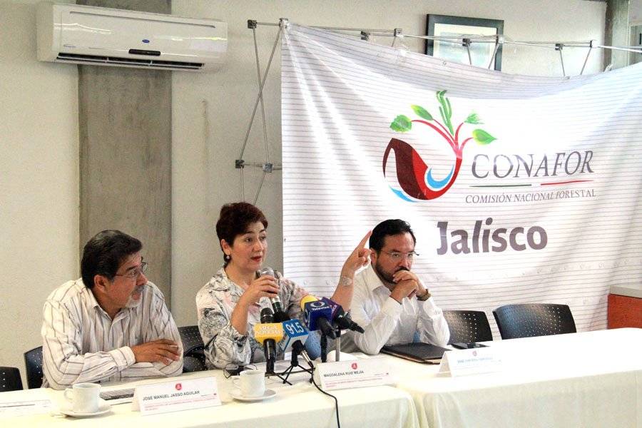 Presentan denuncia por devastador incendio en La Primavera