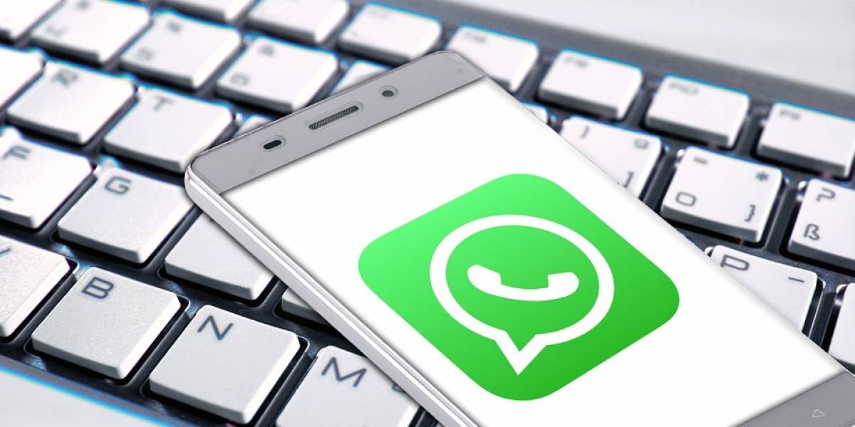WhatsApp: Así puedes descargar un informe completo de tu cuenta