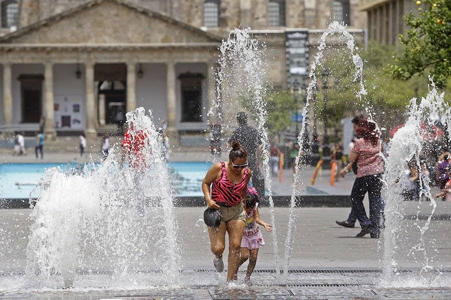 Falta de arbolado eleva las sensación de temperatura en la Zona Metropolitana