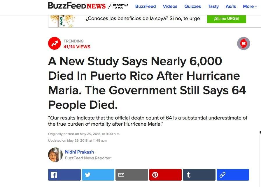 Buzz Feed