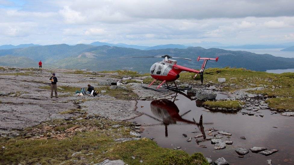 101794756helicopter-b086c9a415ce0702ad0dae7b236dfbe2.jpg