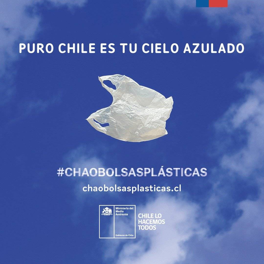 bolsas
