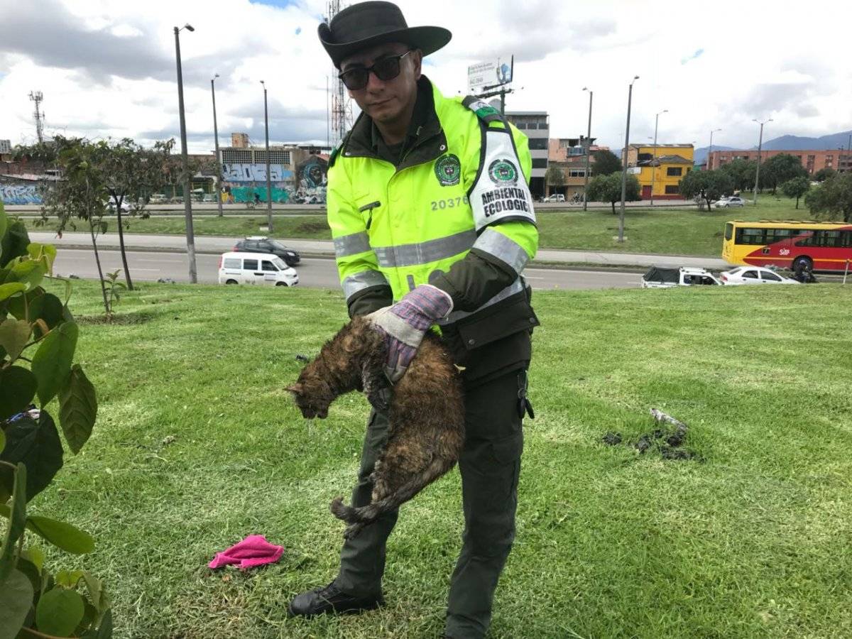 policía