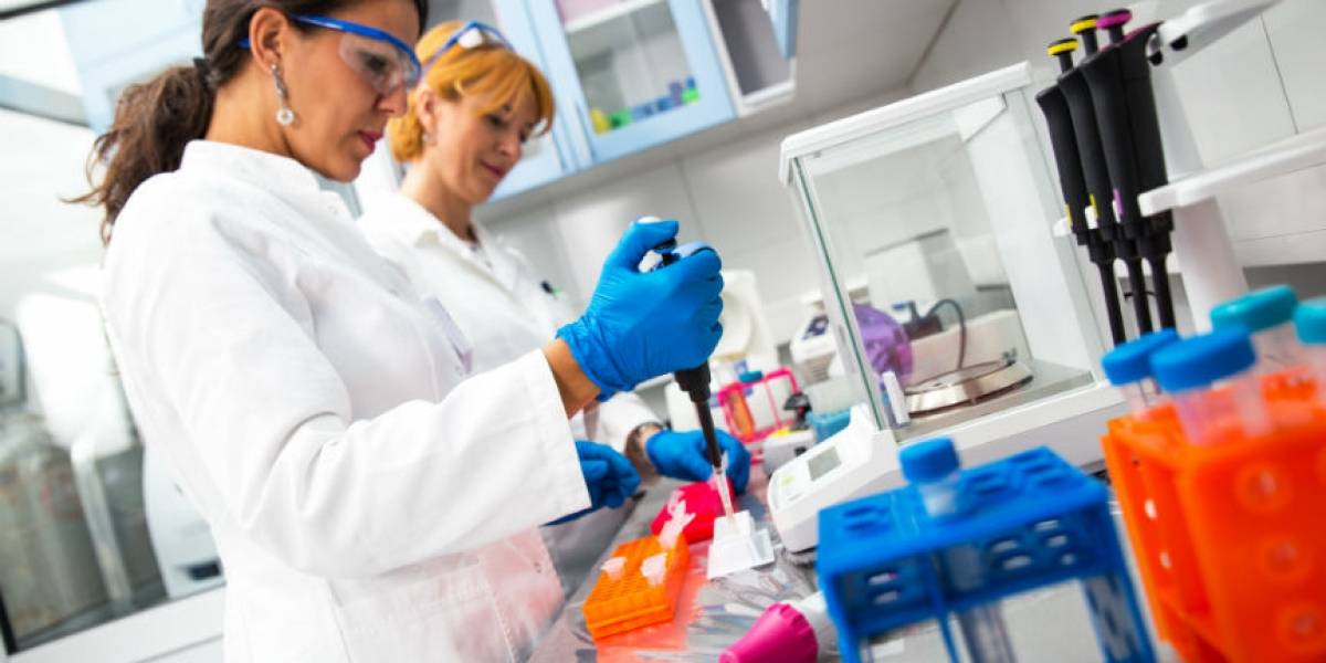 Ministerio de Ciencia y Tecnología: Estos son los candidatos para ministro que corren con más fuerza