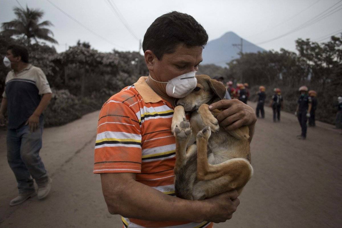 Un residente carga a su perro después de rescatarlo cerca del Volcán de Fuego, en Escuintla, Guatemala, el lunes 4 de junio de 2018. (Foto AP / Luis Soto)