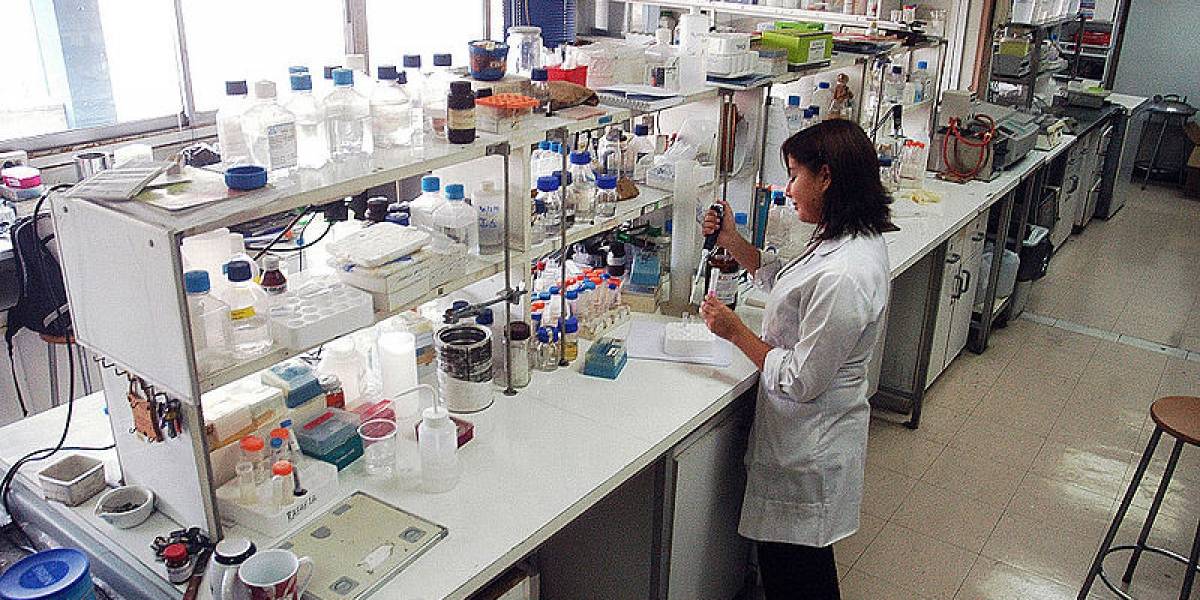 CRUCH en contra de Derechos de Propiedad Industrial en nuevo ministerio: "Se desnaturaliza el rol del Estado"