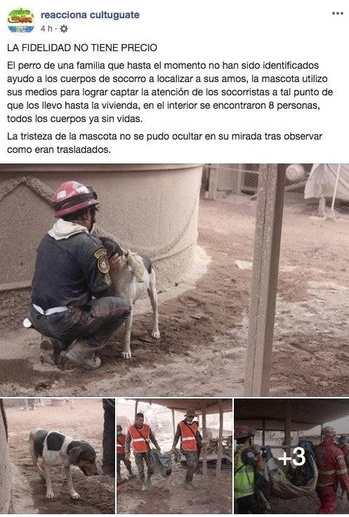 Post reacciona cultuguate
