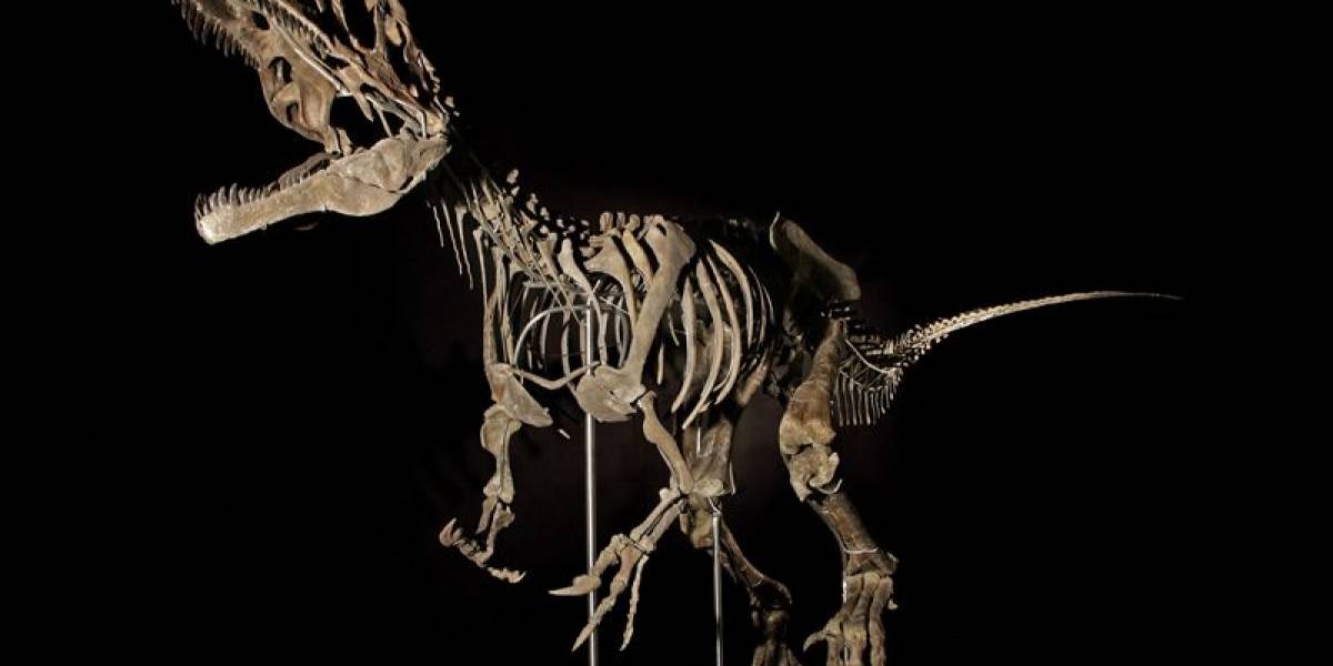 Fósil de especie desconocida de dinosaurio es subastado y vendido en más de dos millones de dólares