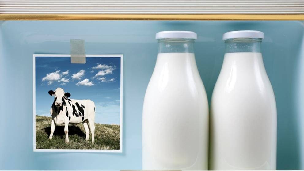 leche