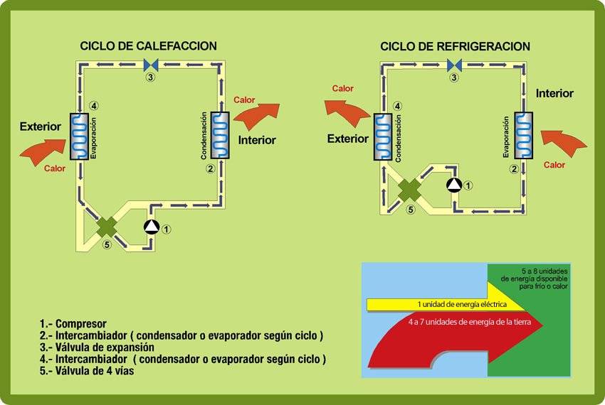 ciclo