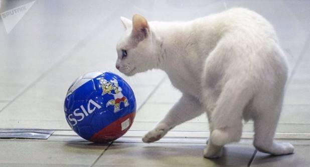 Aquiles juega con un balón