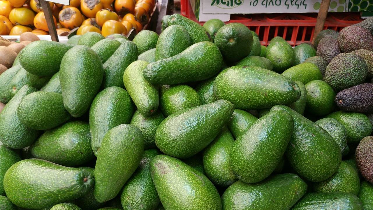 México: ¿Cuántos kilos de aguacate cuesta un iPhone o Galaxy? México: ¿Cuántos kilos de aguacate cuesta un iPhone o Galaxy?