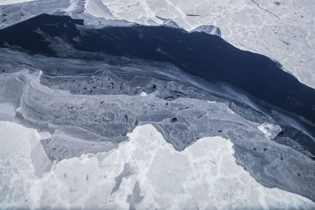 Antártica