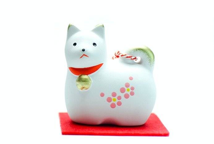 Gato