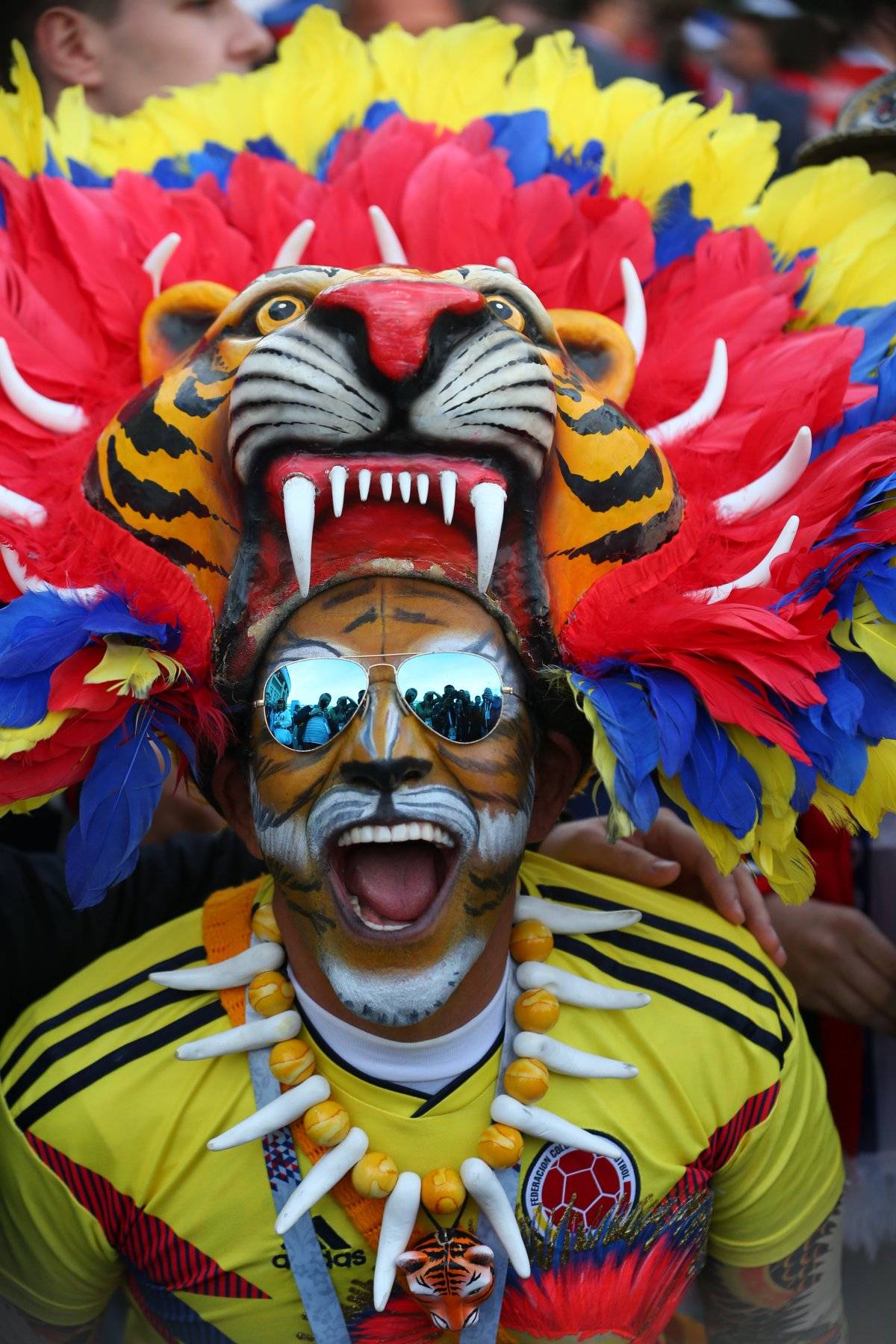 fan colombia mundial rusia