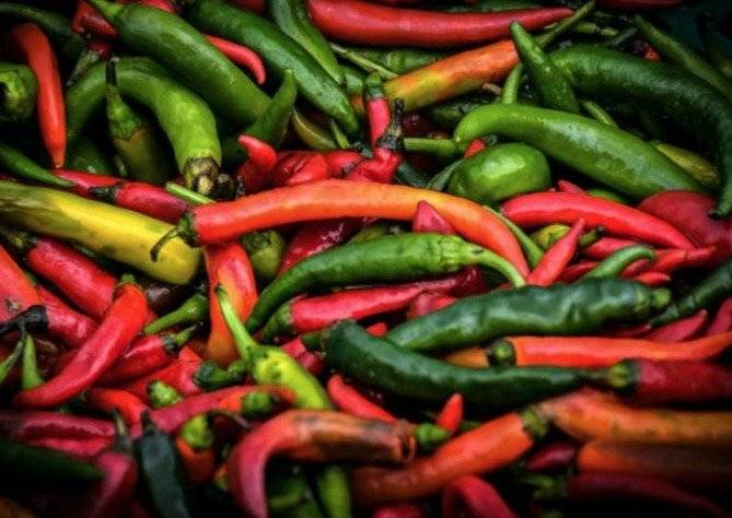 chiles