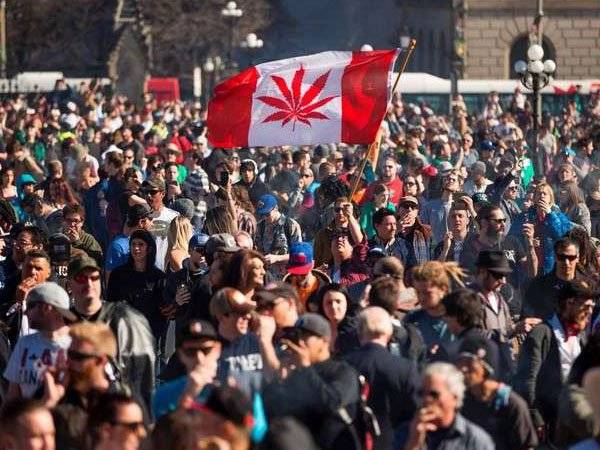 Canadá Marihuana