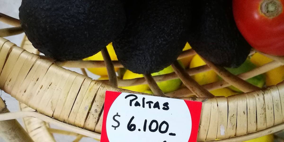 Insólito: El mismo Bill Gates está apostando por el futuro de las paltas