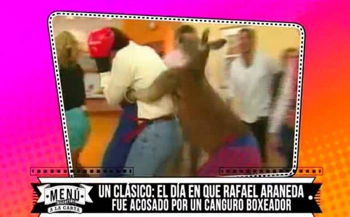 canguro
