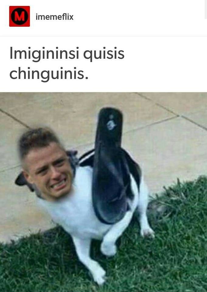 memes Selección Mexicana