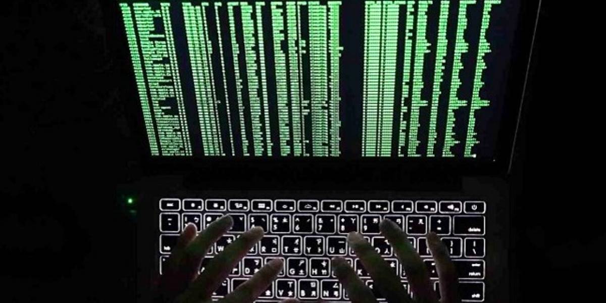 Redada en la dark web: Lanzagranadas, rifles de asalto y millones en criptomonedas fueron incautados