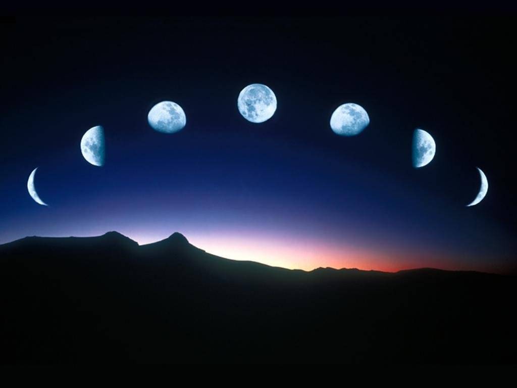 Luna Nueva