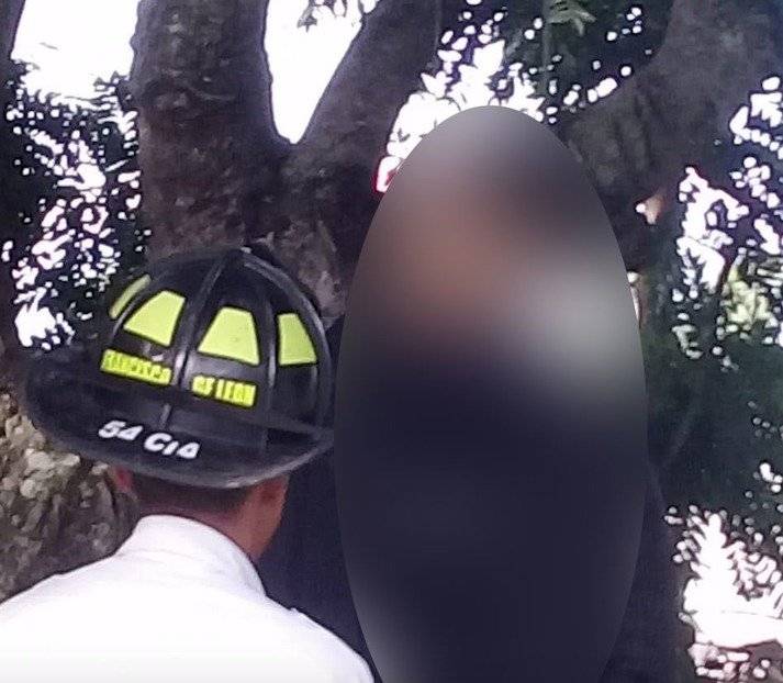 hombre colgado de árbol en Villa Canales