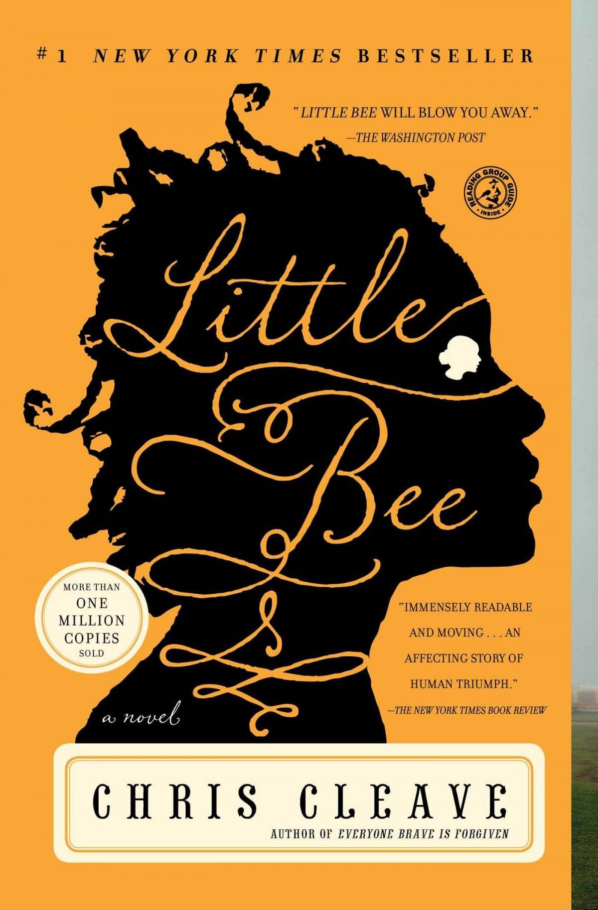 Little Bee movie