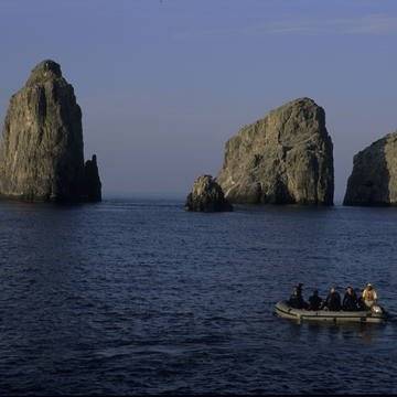 Malpelo