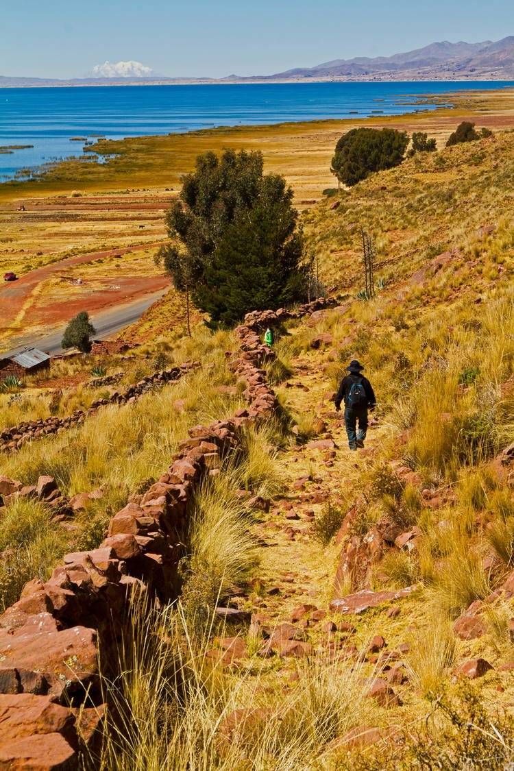 Sistema de carreteras andinas