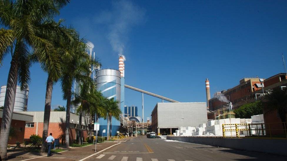 102369079060416limeira002-db75a8a2d45c58096f73d922a5fbaf95.jpg