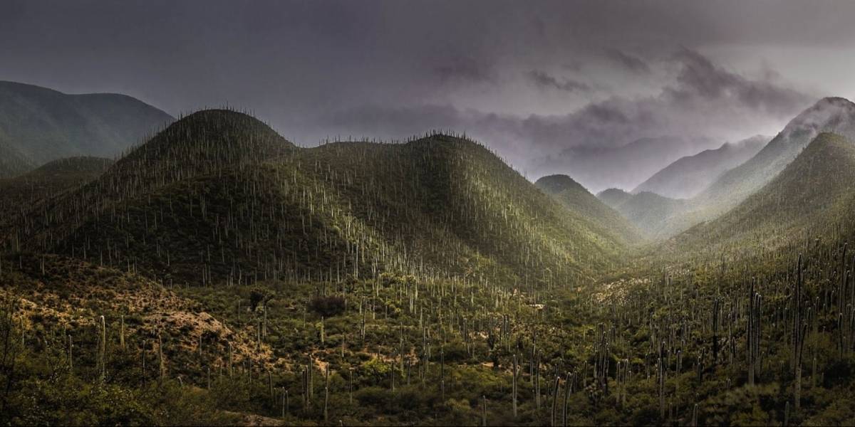 La UNESCO nombra un nuevo Patrimonio de la Humanidad en México