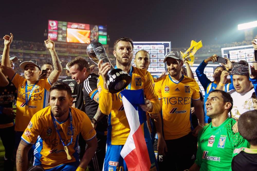 Tigres