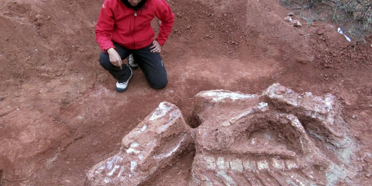 Se ha descubierto en Argentina una nueva especie de dinosaurio, el primero y más antiguo de los gigantes