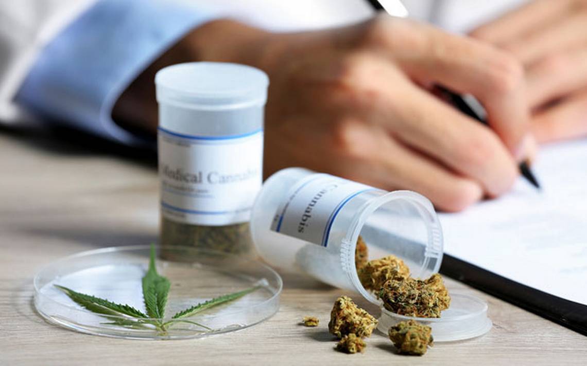 Marihuana Medicinal Marihuana Medicinal