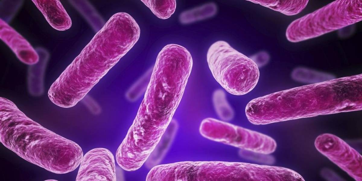 Temida enfermedad de transmisión sexual se está volviendo resistente a los antibióticos