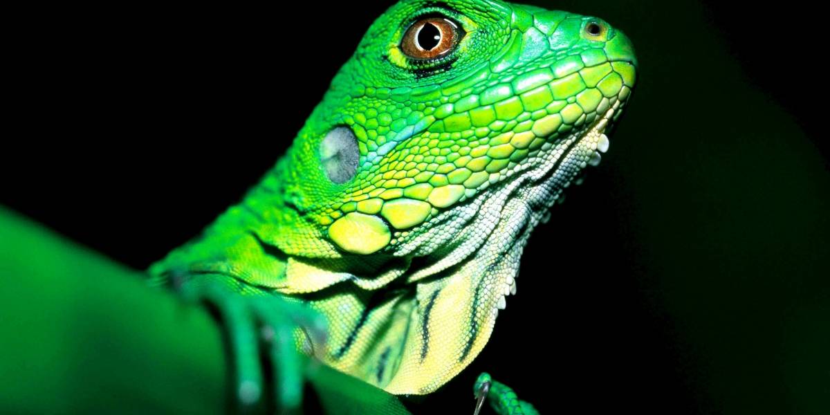 Estos son los logros en materia ambiental conseguidos los últimos ocho años por el gobierno colombiano