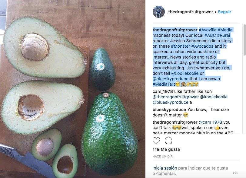 Palta Avozilla