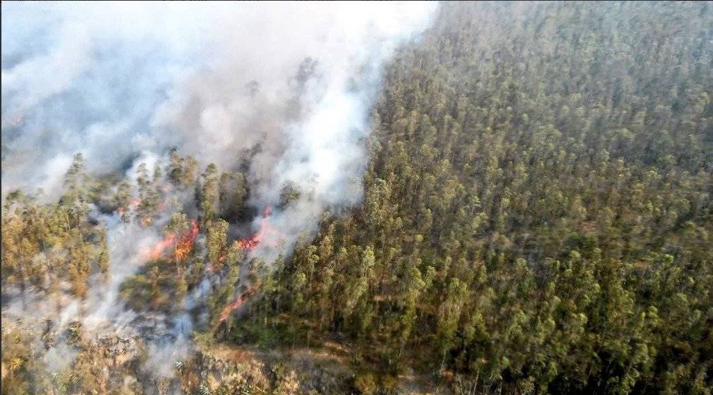 Incendio forestal en Nayón