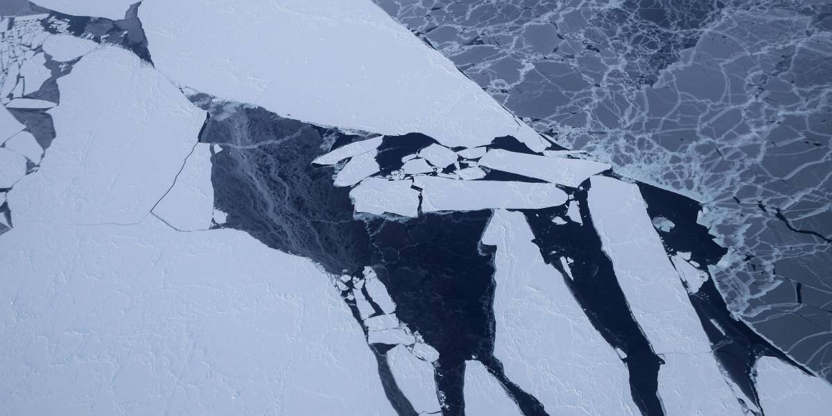 Los efectos del deshielo del Ártico están también golpeando el polo sur